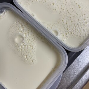 目指せ森永の牛乳プリン♪